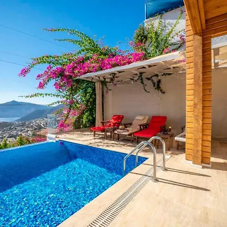 Villa Eco Nergiz