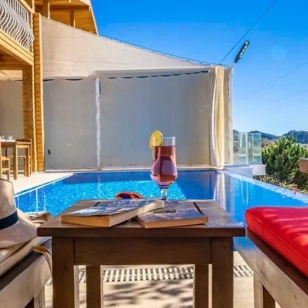 Eco Nergiz Villa