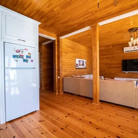 Eco Nergiz Villa *